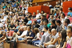 European Muay Championship 2013